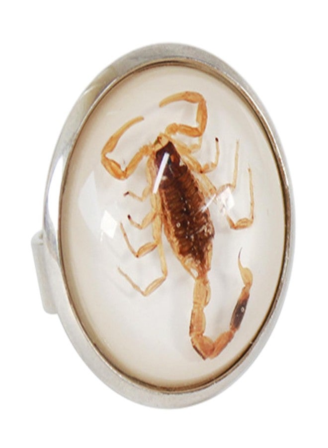 YZYDF Stylish Round Scorpion Rings Adjsuatble Opening Rings Resin Statement Unique Finger Jewellery Trendy Couple Gift - Image 1