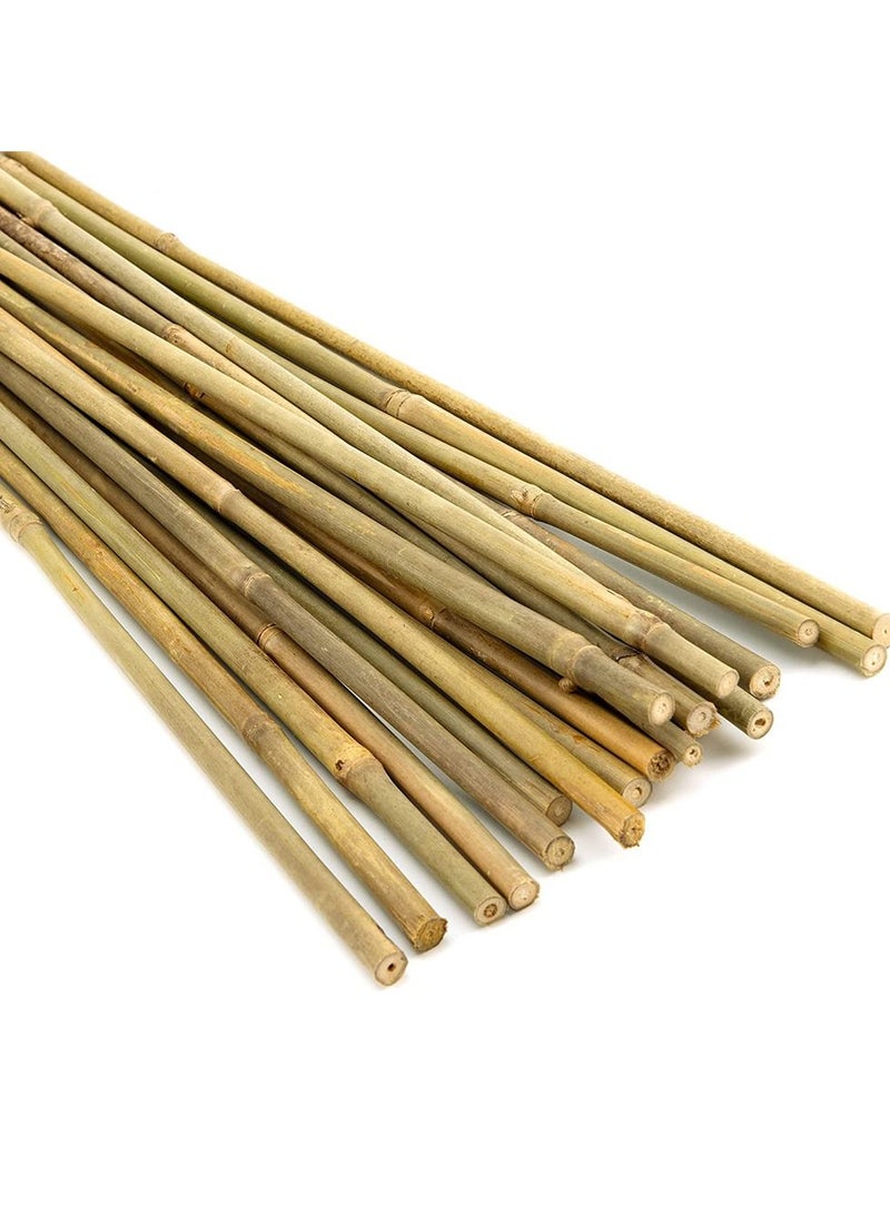 LINGWEI Natural Thick Bamboo Stick Flowers Plant Support Vine Garden Canes Decorative Poles ( 20pcs)  - Image 5