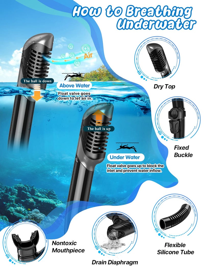 Zenoplige Mask Fins Snorkel Set, Snorkeling Gear for Adults, Panoramic View Snorkel Mask Anti-Fog, Adjustable Dive Flippers, Dry Top Snorkel and Travel Bag, Scuba Gear for Swimming Snorkeling Diving - Image 3