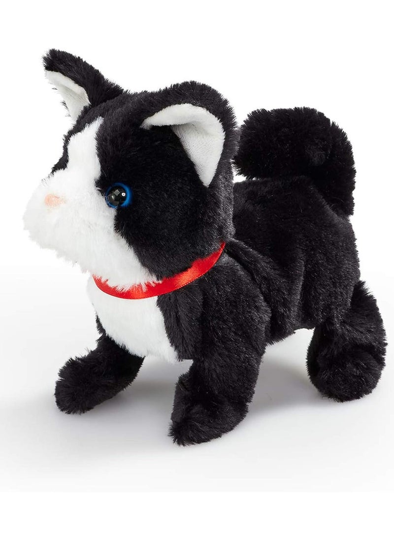 ADDO Addo Pitter Patter Pets Playful Kitty, Battery Operated | Can Walk, Wag it's Tail and Meows  | With Realistic Movements | Soft Toy | Interactive Plush Toy | Snuggling Plush Pet | Gift for Kids and Toddlers  - Image 1