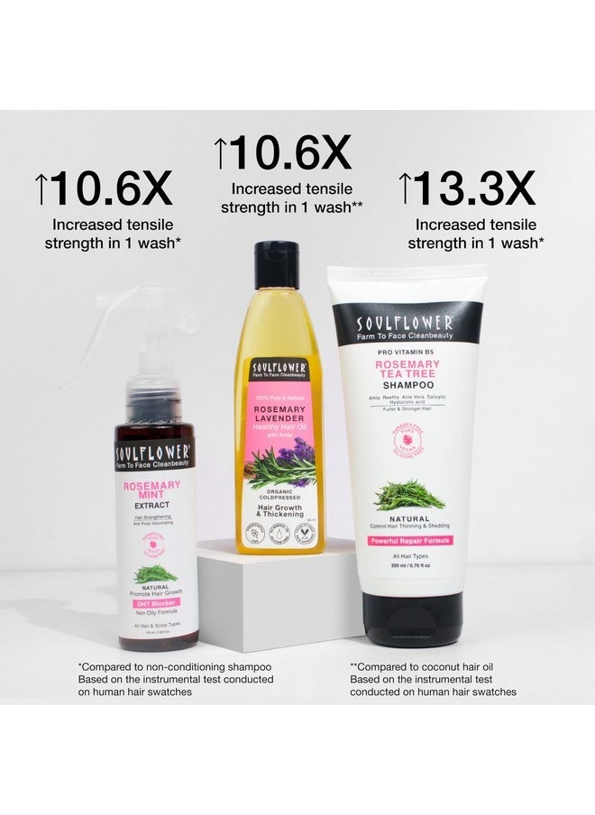 Soulflower Rosemary Hair Growth Kit, Rosemary Lavender Hair Oil (120 Ml) Rosemary Tea Tree Shampoo (200 Ml) Rosemary Water With Mint Extract (100 Ml) Healthy Hair Growth, Hair Fall Control, Strengthens Hair & Scalp  - Image 2