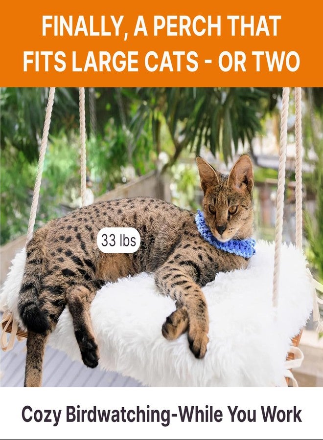 Furrfinity Cat Window Perch for Large Cats - Hammock Bed for Heavy Indoor Cats - Solid Wood Seat, 5 Strong Suction Cups, Soft Cushion - Rustic Shelf for Pets Inside - Image 2