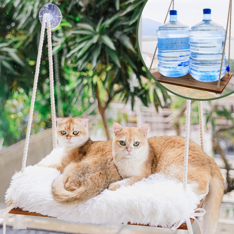 Furrfinity Cat Window Perch for Large Cats - Hammock Bed for Heavy Indoor Cats - Solid Wood Seat, 5 Strong Suction Cups, Soft Cushion - Rustic Shelf for Pets Inside - Image 1