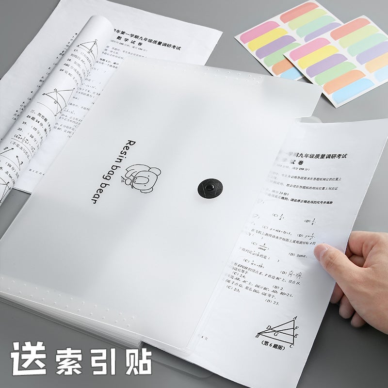 Customized Office Rainbow Organ Bag Pp Transparent A4 Folder Student Examination Paper File Storage Organ Bag - Image 4