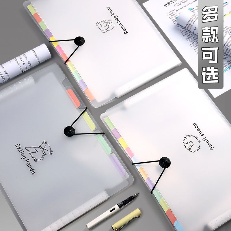 Customized Office Rainbow Organ Bag Pp Transparent A4 Folder Student Examination Paper File Storage Organ Bag - Image 5