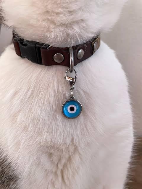 Stewit® Evil Eye Charm - Bag, Purse, Key, Buggy, Stroller, Protection, Nazar Boncuk, Dog Tag, Gold Pendant, Zipper Pull (Pack Of 1) - Image 4