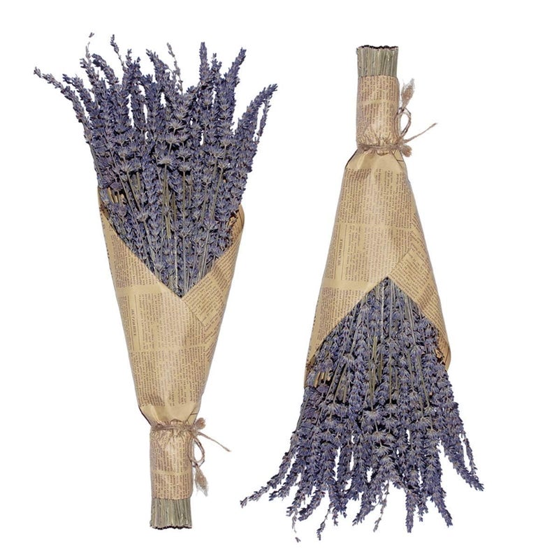 Cedar Space Lavender Dried Flowers 2 Bunches Dried Lavender Ideal Home Fragrance Products for Home Decorations Wedding Party Photography Flower Arrangements Total Length 16 Inches