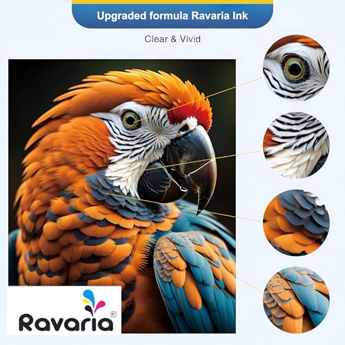 Ravaria BTD100BK / BTD100CMY Compatible Ink for Brother Printer DCP-T236 DCP-T230 DCP-T436W DCP-T430W DCP-T535DW DCP-T530DW DCP-T730DW DCP-T830DW MFC-T930DW (BTD100BK & BT100CMY Ink Set (4 Color)) - Image 5