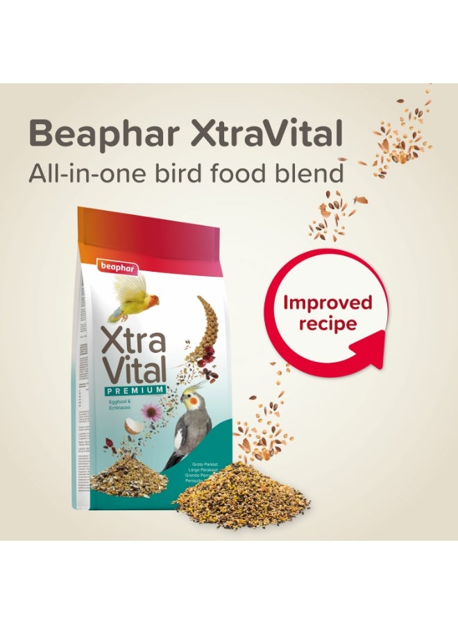 بيفار ببغاء إكسترا فيتال كبير 1 كجم - Image 2
