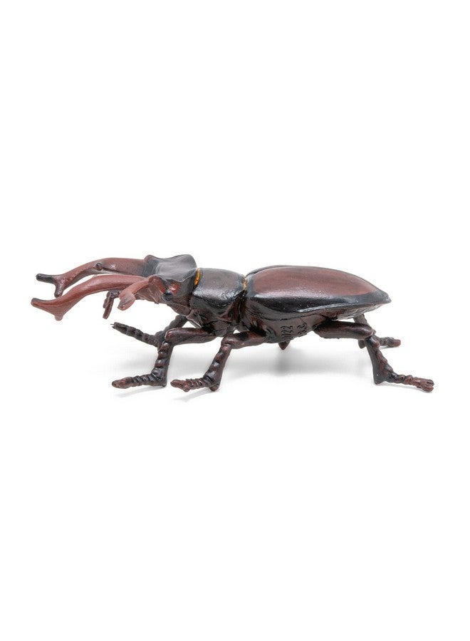 Papo -Figurine -50281-Stag Beetle - Image 2