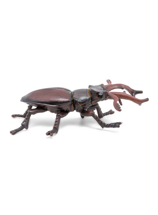 Papo -Figurine -50281-Stag Beetle - Image 3