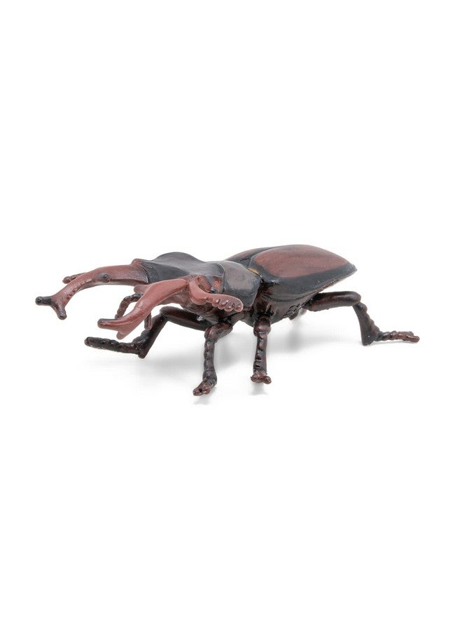 Papo -Figurine -50281-Stag Beetle - Image 4