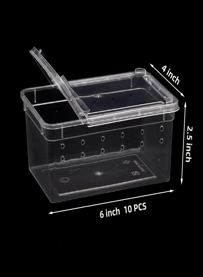 JOBEDE 10 Pcs Reptile Feeding Boxs, Plastic Spider Terrariums Breeding Box Feeder Insect Container Feeding Box for Small Reptile Bearded Dragon Lizard Spider Gecko Scorpion 5.9 x 3.9 x 2.5 in - Image 2