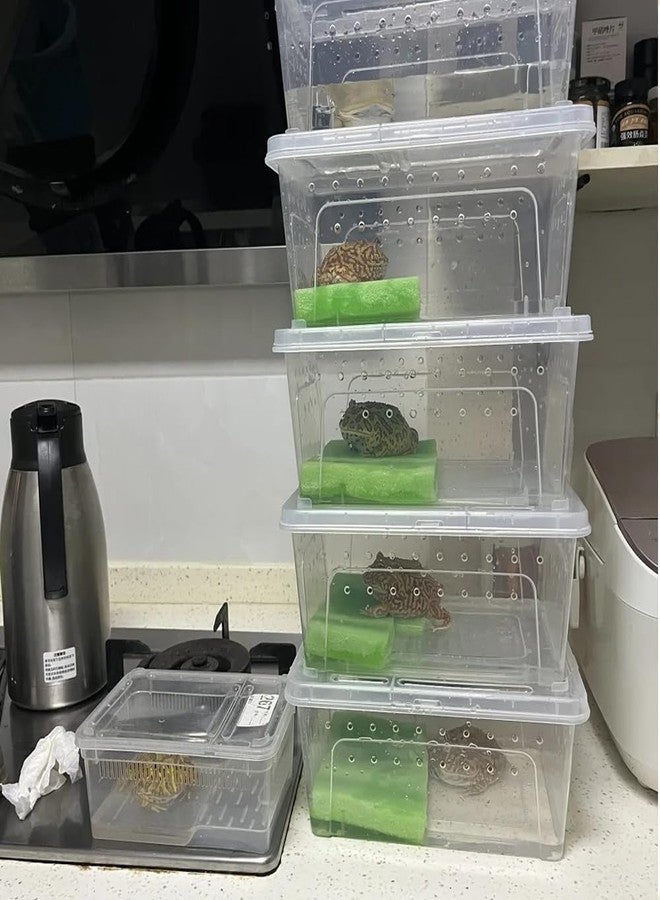 JOBEDE 10 Pcs Reptile Feeding Boxs, Plastic Spider Terrariums Breeding Box Feeder Insect Container Feeding Box for Small Reptile Bearded Dragon Lizard Spider Gecko Scorpion 5.9 x 3.9 x 2.5 in - Image 4