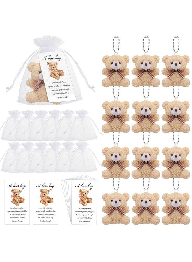 Zhanmai 12 Set Mini Plush Bears Graduation Gift Little Pocket for Kids Inspirational Bear Hug Gift Card Organza Bags for end of Year Party Favors - Image 1