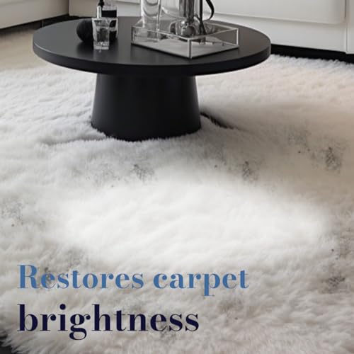 Koblenz 20-0529-6 Dry Foam Rug Shampoo, 32-Ounce, White - Image 3