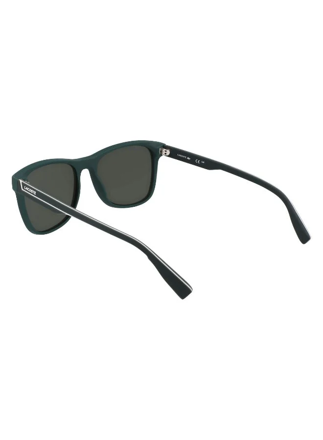 LACOSTE  FULL RIM INJECTED LACOSTE SUNS L6031S for Men | Best Price UAE