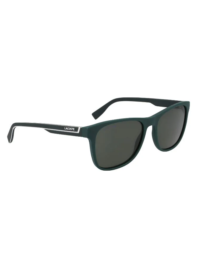 LACOSTE  FULL RIM INJECTED LACOSTE SUNS L6031S for Men | Best Price UAE