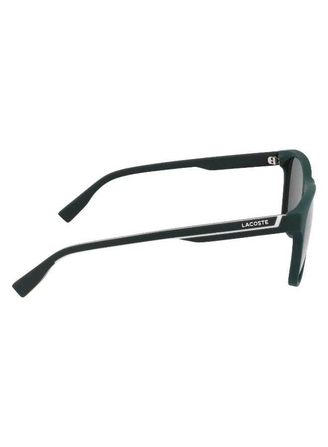 LACOSTE  FULL RIM INJECTED LACOSTE SUNS L6031S for Men | Best Price UAE