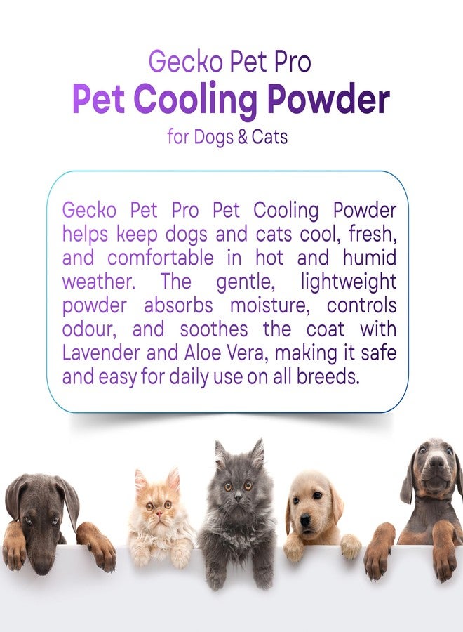 Gecko Pet Pro 2X Pet Cooling Powder for Dogs & Cats | Lavender & Aloe Vera | Extra Strength Deodorizer for Strong Odor Control | Summer Cooling Powder | Safe for Regular Use | 120g |(Pack of 1) - Image 5