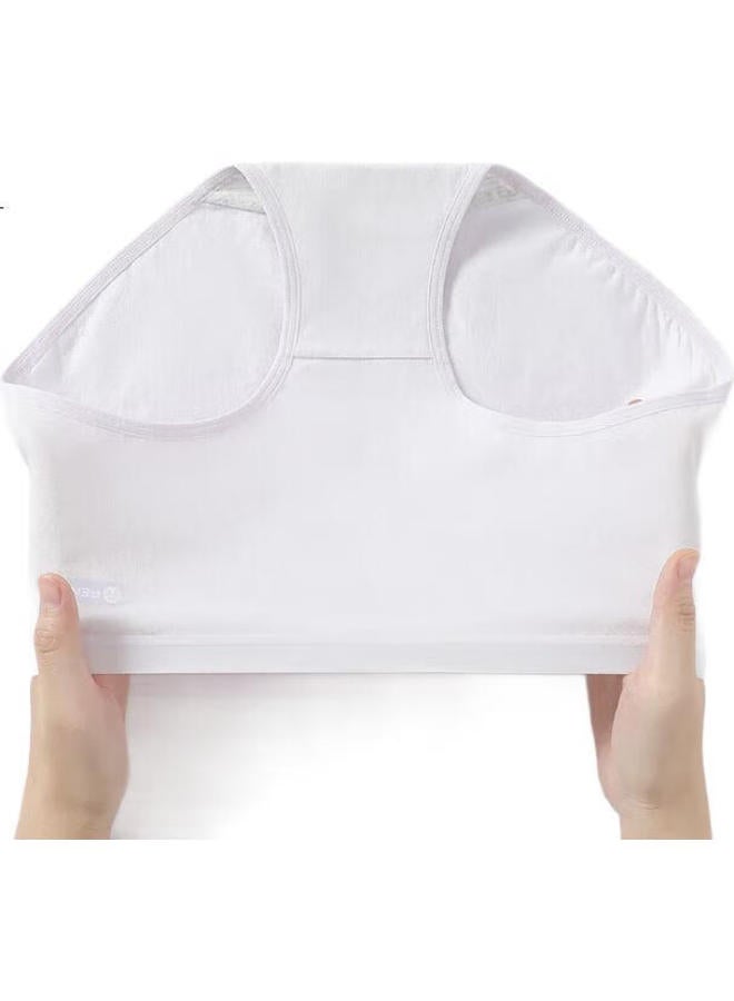 Fenton Women'S Underwear, Pure Cotton, 7A Antibacterial, 4-Pack, Spring New Style, Light Tummy Control, Mid-High Waist, Triangle Panties, 0431 - Image 3