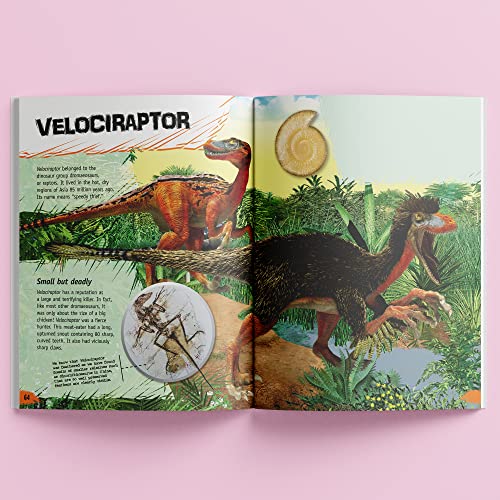 Hinkler Incredible But True: Dinosaurs - Kids Hardcover Book, Learn About Jurassic Period, STEM for Kids Aged 7-12, Color Illustrated Non-Fiction Books, Learning & Education - Image 3