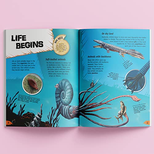 Hinkler Incredible But True: Dinosaurs - Kids Hardcover Book, Learn About Jurassic Period, STEM for Kids Aged 7-12, Color Illustrated Non-Fiction Books, Learning & Education - Image 4