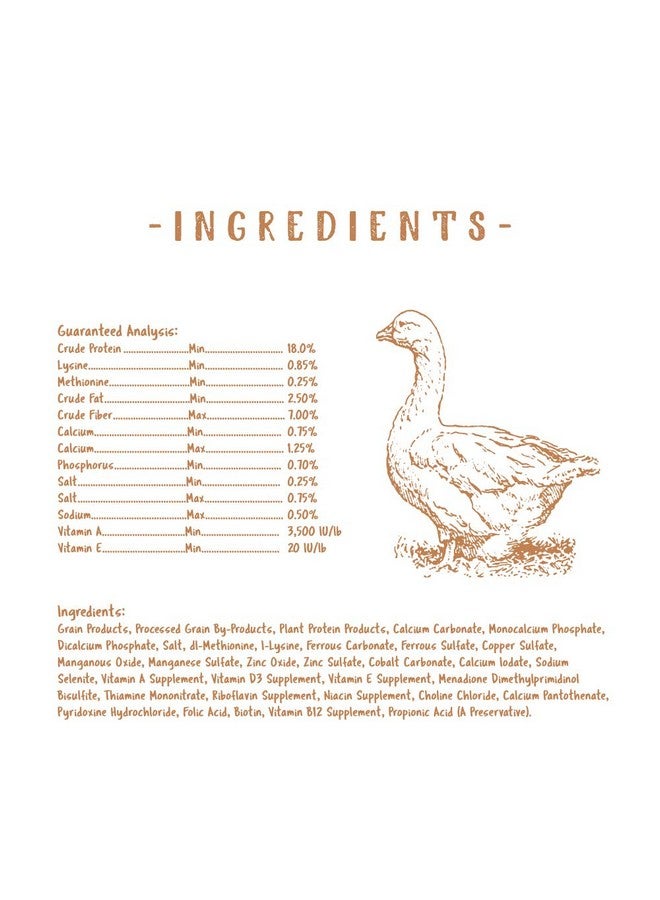 Manna Pro NonMedicated Starter Crumble Feed For Chicks & Ducklings|Formulated With Vitamins & Minerals|5 Pounds - Image 3