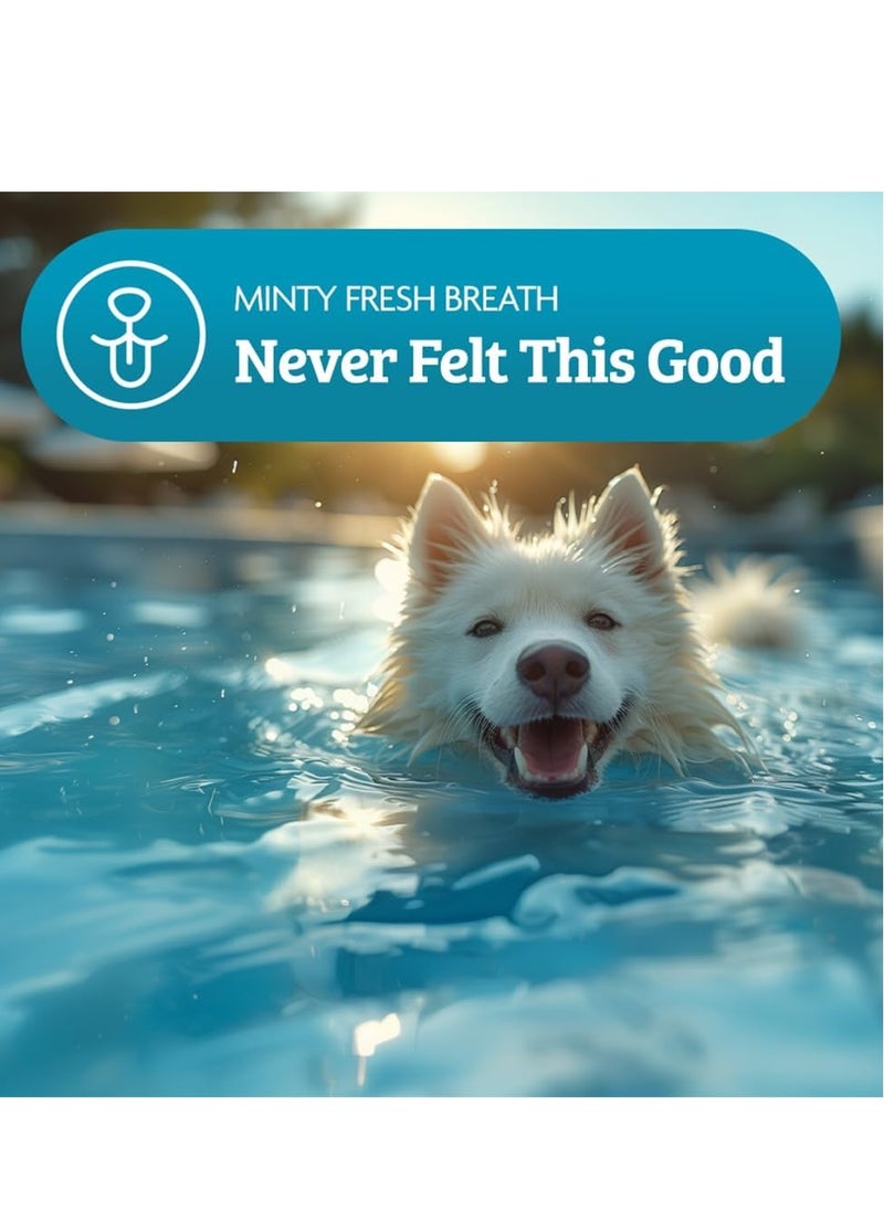 Omni - Dog Breath Freshener Supplement One a Day Peppermint Dog Chew Supplements for Dogs with Natural Dog Plaque Remover Dog Dental Care aiding Fresh Breath for Dogs 30 Servings Small Dog  0 to 15 Kg - Image 1