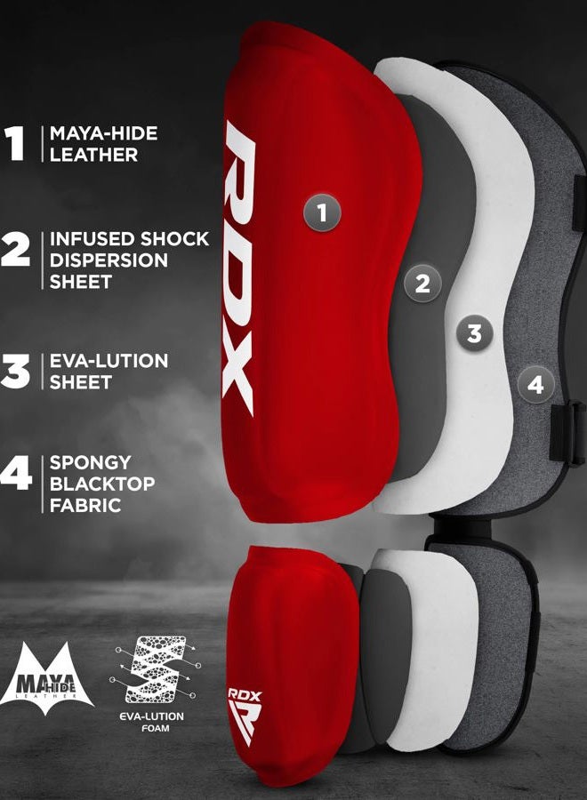 Rdx Shin Guards Kickboxing Muay Thai, SATRA SMMAF Approved, Premium Maya Hide Leather, Leg Instep Protection Pads, MMA Martial Arts kicking Sparring Training Gear, BJJ Karate Boxing Taekwondo, Black - Image 3