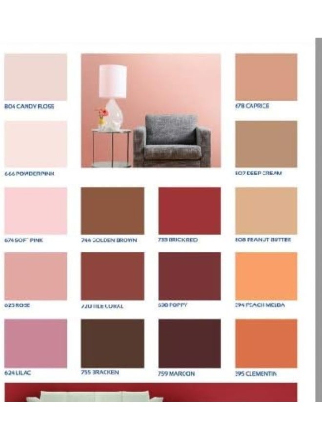 National Paint Emulsion Water Base-3.6 Litre 394 Peach Melba  - Image 2