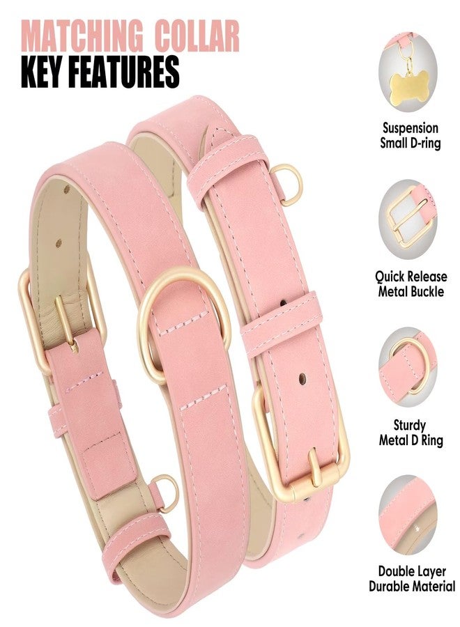 Beirui Soft Padded PU Leather Dog Collar and Leash Set, Durable Dog Leash and Collar Set with Metal Buckle, Breathable Pet Collars with 4FT Leash for Small Dogs(Pink, Neck 10-13") - Image 2