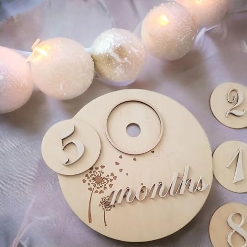Cliths Set of 13 Wooden Baby Milestone Plaque Monthly Milestone Disc Cards for Newborn Photography, Baby Shower Gifts, Nursery Decor, Keepsakes for Mom & Parents Baby Milestone Cards - Image 1