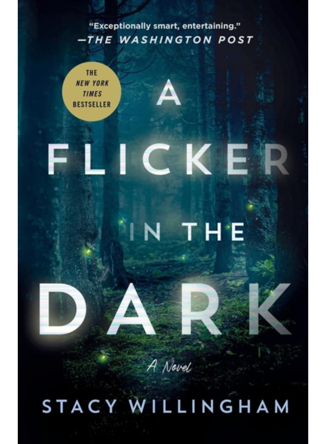 A Flicker in the Dark : A Novel 