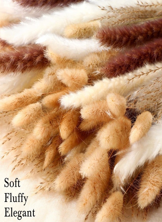 تريلا، 325 قطعة من عشب البامباس المجفف، باقة زهور بوهيمية مجففة بطول 17 بوصة، ذيول أرنب رقيقة، عشب قصب طويل، ريش زخرفي طبيعي لحفلات الزفاف، ديكور طاولة المنزل، ديكور ريفي لحفلات المزرعة - Image 5