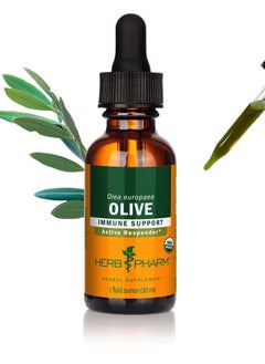 HERB PHARM Certified Organic Olive Leaf Liquid Extract for Immune System Support - 1 Ounce  - Image 1