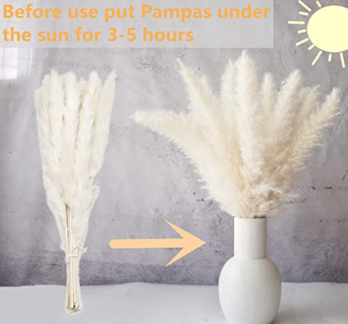 Bannifll 110 PCS Dried Pampas Grass Bouquet, Boho Table Decor, Bunny Tails Dried Flowers, Brown Pompas, White Pampas Grass for Wedding, Home, Rustic Party, Baby Shower Decorations - Image 4