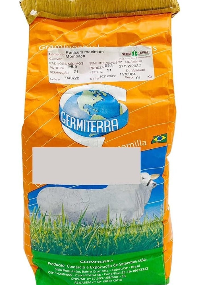 general Germiterra Bonicam Mombasa F1 Quality Seeds - 1kg for Livestock Feed - Image 1