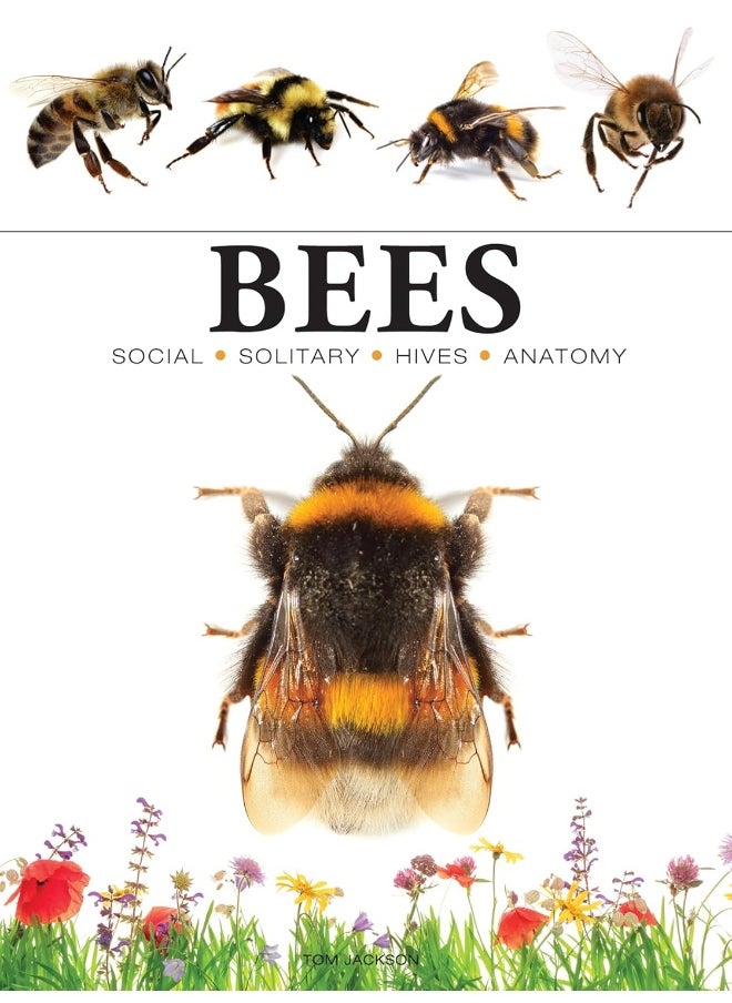 Bees  - Image 1