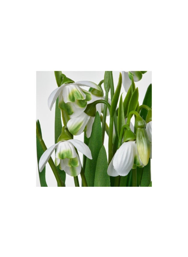FEJKA Artificial potted plant, in/outdoor/snowdrop white, 9 cm - Image 3