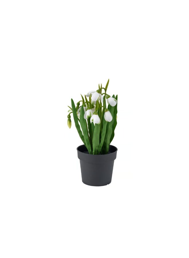 FEJKA Artificial potted plant, in/outdoor/snowdrop white, 9 cm - Image 2