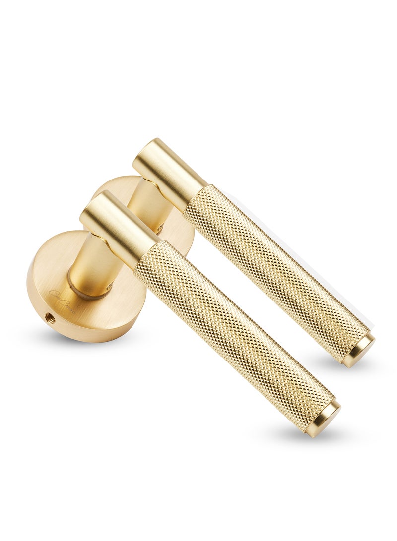 CINCINNO Levitas Premium Anti-Rust Aluminum Door Handle Pair With 28.8x15mm Cylinder Plate, Fits 58x50 Lock Body, Salt Spray Tested, 2-Year Color & 5-Year Mechanical Warranty (Brushed Natural Brass) - Image 1