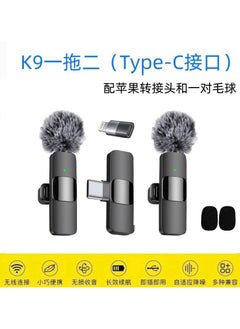 K9 dual microphone + Type-C interface (with Apple adapter + a pair of fur balls) "Hot Combination 1 Recommendation"