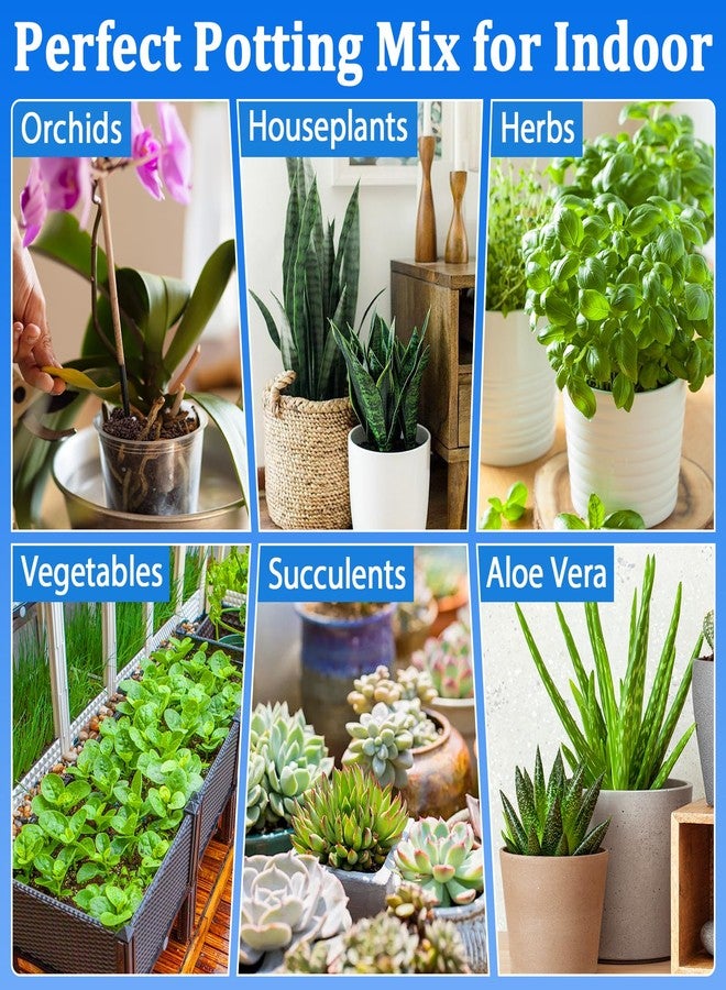 Halatool 3QT Indoor Potting Soil for Plants Orchid Potting Mix Garden Top Succulent Bonsai Soil for Aloe Vera Houseplants Flowers Vegetables & Herbs - Image 5