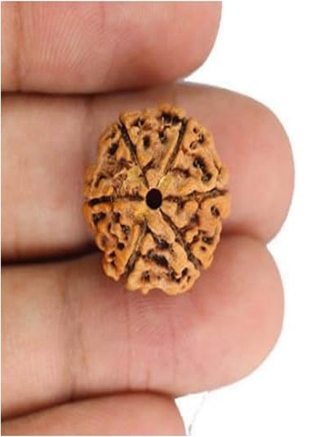 TRINETRA GEMS STONE Precious 6 Mukhi Rudraksha With Capping Nepali Beads Superb Round Shaped Original Certified By IGL Lab Natural Six Face Rudraksha Wear For Men And Women - Image 4