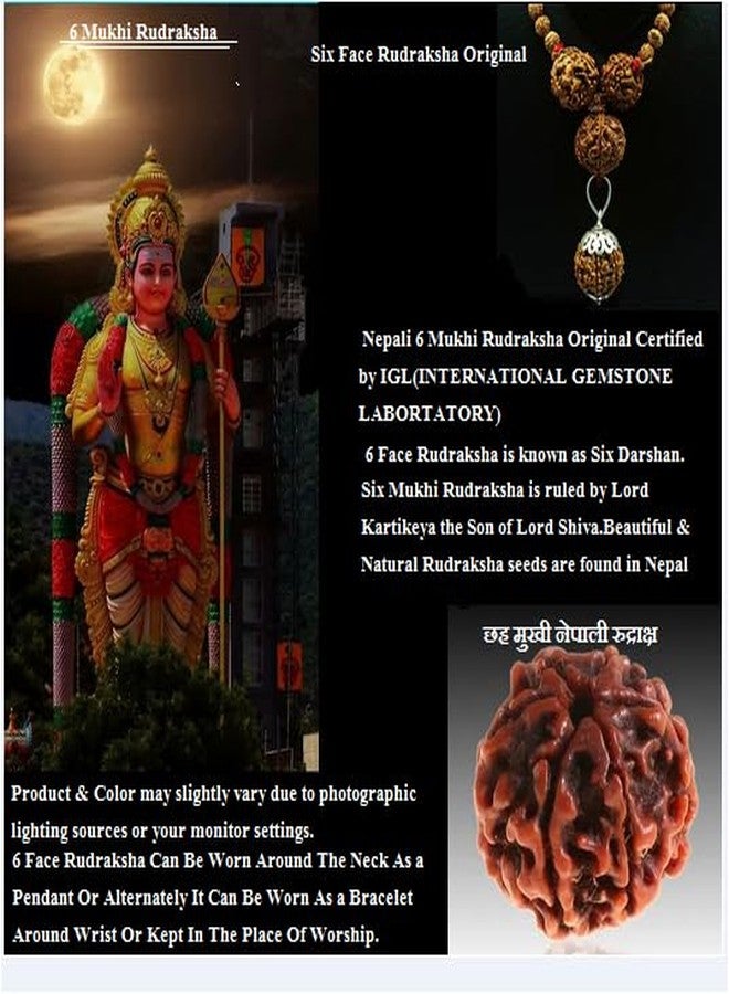 TRINETRA GEMS STONE Precious 6 Mukhi Rudraksha With Capping Nepali Beads Superb Round Shaped Original Certified By IGL Lab Natural Six Face Rudraksha Wear For Men And Women - Image 5