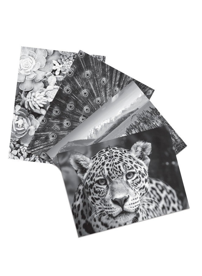 Crayola HD Coloring Kit, 30 Colored Pencils & 20 Adult Coloring Pages, Coloring Set for Adults & Teens, Coloring Supplies - Image 4