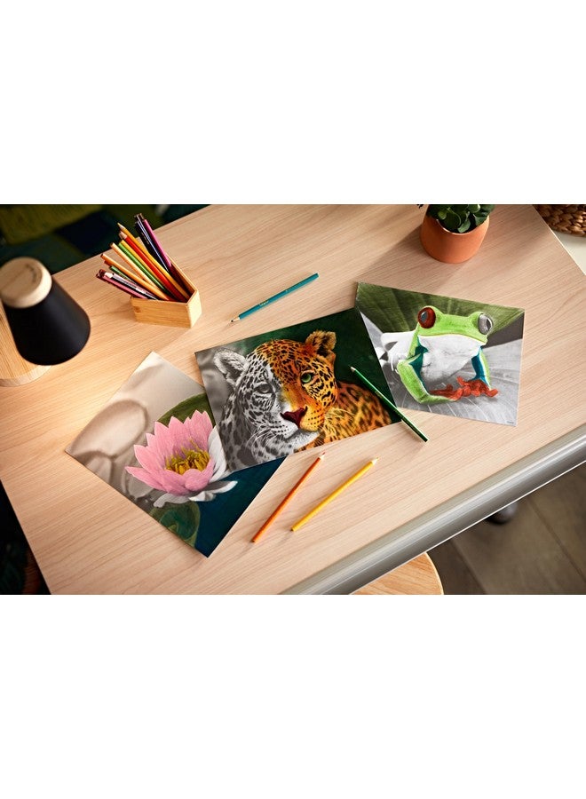 Crayola HD Coloring Kit, 30 Colored Pencils & 20 Adult Coloring Pages, Coloring Set for Adults & Teens, Coloring Supplies - Image 5