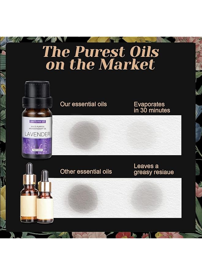 إيروريكس مجموعة من 6 زيوت عطرية نقية 100% من الدرجة الممتازة، 6 عبوات من خشب الصندل والبرتقال الحلو واللافندر والأوكالبتوس والليمون والنعناع، 10 مل - Image 5