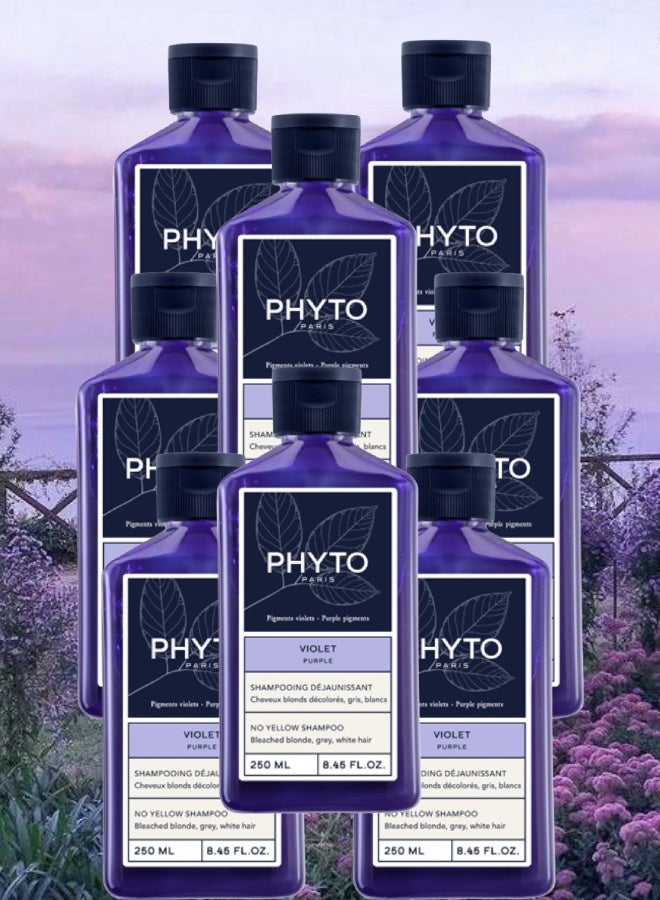 Phyto 8 Pieces Phyto Paris Purple Shampoo No Yellow 250ML - Image 1